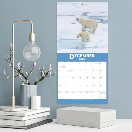 Save on 2026-2027 Baby Animals Wall Calendar - Image 7