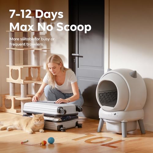 25% Off ZHMZ Self-Cleaning Litter Box for Cats - Image 6