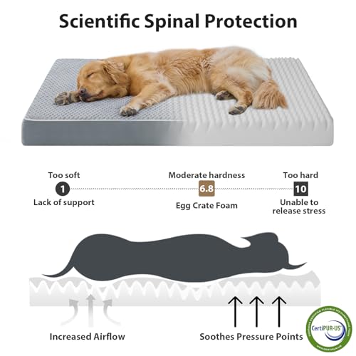 40% Off LEXTRO XXL Orthopedic Dog Bed - Image 3