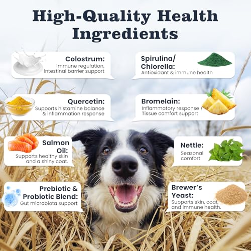 8% Off Dog Allergy Chews – 200 Treats for Itch Relief - Image 5