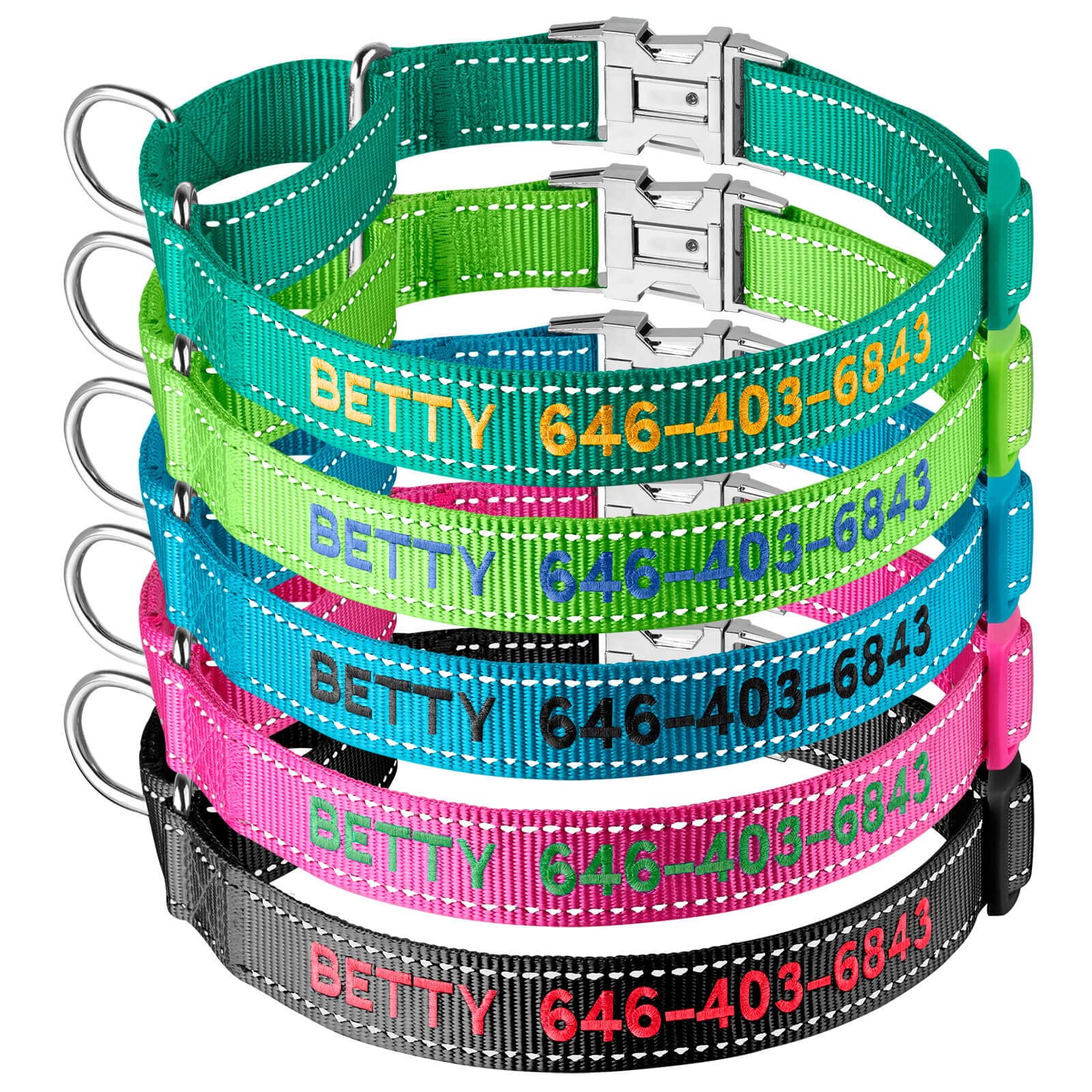50% Off Custom Reflective Martingale Dog Collar