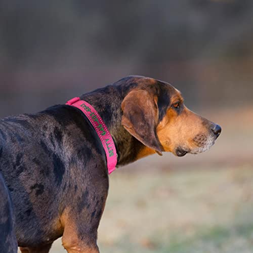 50% Off Custom Reflective Martingale Dog Collar - Image 5