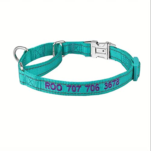 50% Off Custom Reflective Martingale Dog Collar - Image 6