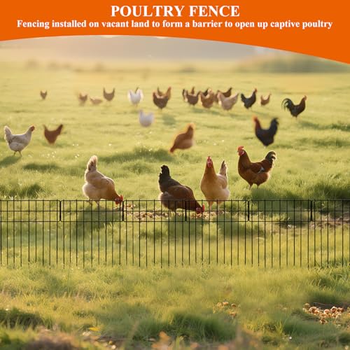 50% Off Decorative Garden Fence – 10 Panels, No-Dig Border - Image 8
