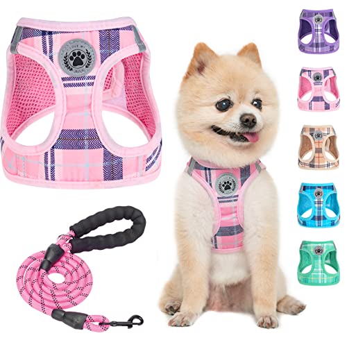 Save 5% on BEAUTYZOO Small Dog Harness & Leash Set - Image 2