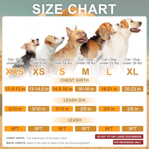 Save 5% on BEAUTYZOO Small Dog Harness & Leash Set - Image 3