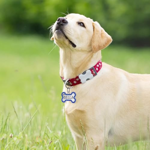 50% Off Custom Stainless Steel Dog Tags for Pets - Image 8